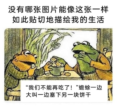 这是一张引发广泛共鸣的梗图，顶部配文“没有哪张图片能像这张一样如此贴切地描绘我的生活”，图中呈现了《青蛙和蟾蜍》绘本里的场景：蟾蜍一边大喊“我们不能再吃了！”，一边将饼干塞入口中，另一只手还端着装满饼干的碗；旁边的青蛙同样是一边把饼干往嘴里塞，一边伸手去拿碗里的饼干。底部配文“‘我们不能再吃了！’蟾蜍一边大叫一边塞下另一块饼干”精准点出了这种“嘴上抗拒、身体诚实”的矛盾行为，完美复刻了当代人在自律与放纵之间反复横跳的日常，比如明明计划减肥却忍不住吃零食、嘴上喊着要省钱却还是忍不住消费，这种真实的自我矛盾状态让很多人感同身受。