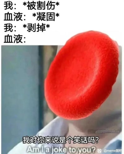 暂无描述