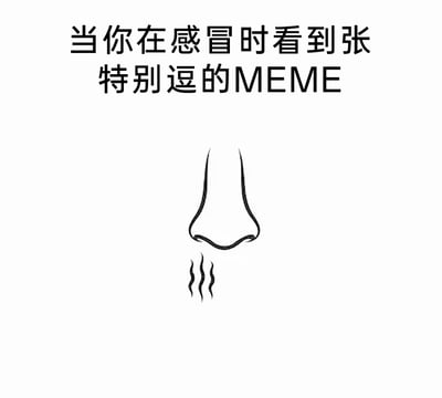 这张梗图采用图文结合的形式，上方文字点明场景“当你在感冒时看到张特别逗的MEME”，下方用简洁的手绘线稿画出一个鼻子，鼻子下方的线条用来示意不受控制流出的鼻涕，精准还原了感冒期间因为看到搞笑内容大笑，导致鼻涕失控流出的尴尬又真实的日常瞬间，用夸张又接地气的方式调侃了这种哭笑不得的体验。