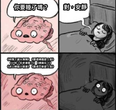 四格连环漫画描绘睡前名场面：第一格粉色拟人化大脑睁大眼睛问“你要睡了嗎？”；第二格黑白色调中，躺在床上的人闭着眼回答“對，安靜”；第三格大脑兴奋地列出一串网络小说标题：《纯情丫头火辣辣》《霸道总裁爱上我》《少帅！你老婆跑了》《总裁在上》《冰山总裁小萌妻》《霸道王爷爱上我》；第四格人瞬间睁眼，表情呆滞地清醒着。通过大脑与主人的对话反差，幽默展现“想睡觉但大脑疯狂播放小说剧情”的失眠日常。
