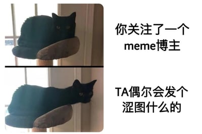 图片为上下两格对比的静态 meme。上半格中一只黑猫趴在猫爬架的平台上，眼神平静地看向镜头，右侧配文“你关注了一个meme博主”；下半格中同一只黑猫身体向右侧舒展延伸，姿态更显慵懒，右侧配文“TA偶尔会发个涩图什么的”。通过黑猫姿态的细微变化，幽默调侃了关注 meme 博主后可能遇到的“惊喜”，用动物形象弱化了“涩图”的直白感，形成轻松诙谐的效果。