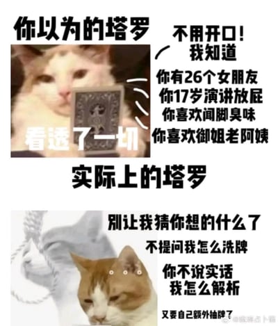 这是一张上下对比风格的搞笑梗图，通过两只猫咪形象幽默展现人们对塔罗占卜的刻板印象与实际情况的反差。上图中，一只猫咪手持塔罗牌，配文“你以为的塔罗”和“看透了一切”，右侧文字夸张描述塔罗能知晓所有隐私（如“有26个女朋友”“17岁演讲放屁”等）；下图则是一只表情疲惫的猫咪，配文“实际上的塔罗”，右侧文字吐槽占卜需要对方主动提问（如“别让我猜你想的什么了”“不提问我怎么洗牌”），形成强烈的幽默对比效果。