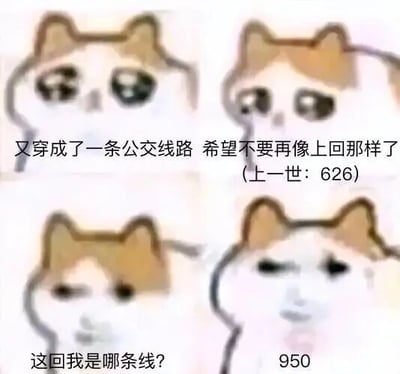 这是一组由四张mur猫表情包组成的连环图文梗图，借用“穿书”的流行设定，将公交线路拟人化，模拟“穿成公交线路”的经历。第一张图中mur猫眼神忧虑，配文表现出对“上一世626线路”的不好经历的后怕；第二张图延续忧虑神情；第三张图mur猫歪头疑惑，询问自己现在是哪条线路；第四张图mur猫表情变得生无可恋，给出答案“950”，通过猫咪的表情变化和文字结合，制造出拟人化的趣味反差效果，属于网友对经典表情包的二次创作。