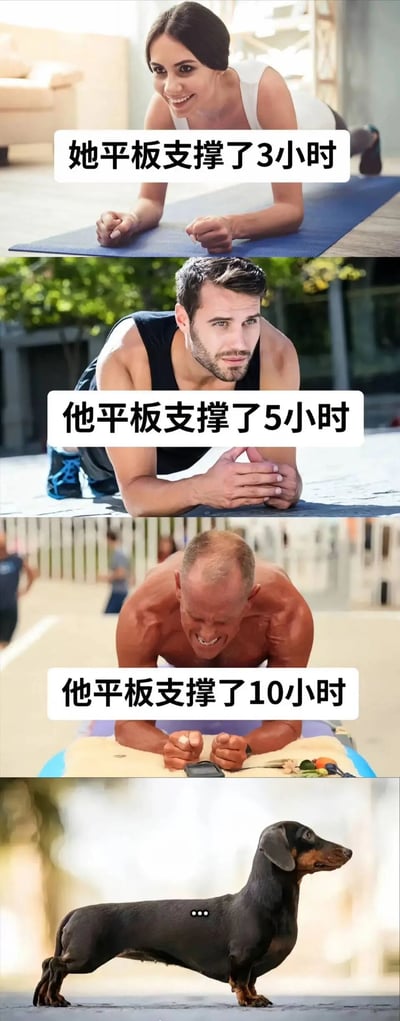 图片为上下拼接的四格对比图，展示不同对象的平板支撑时长。第一格是一位女性在瑜伽垫上做平板支撑，配文“她平板支撑了3小时”；第二格是一位男性做平板支撑，配文“他平板支撑了5小时”；第三格是一位肌肉发达的男性吃力地做平板支撑，配文“他平板支撑了10小时”；第四格是一只腊肠犬自然站立，身体呈平直状态，暗喻其“平板支撑”姿势。通过人类不断增加的支撑时长与狗狗天然姿势形成幽默对比，突出反差萌。
