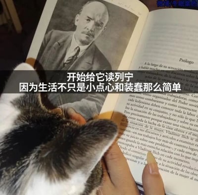 图片展示了一只猫趴在一本打开的书上，书的一页印有列宁的黑白肖像照片，另一页是西班牙文的文字内容。图片上叠加了中文文字：'开始给它读列宁 因为生活不只是小点心和装蠢那么简单'，通过猫与严肃政治人物的反差搭配幽默文字，形成搞笑效果。