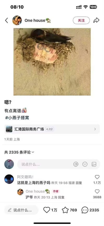 这是一张国内社交平台的帖子截图，发布用户昵称为One house，定位在上海汇港国际商务广场。帖子配图显示墙面上的燕子窝里垫着一张10元面值的人民币，一只燕子正趴在窝的边缘，发布者配文为“嗯？有点离谱 #小燕子搭窝”。评论区有网友评论“这就是上海的燕子吗”获赞1.1万，发布者回复该评论“沪爷”获赞3688。整条帖子总获赞1万，收藏769，共有2335条评论，内容因燕子搭窝用人民币当垫料、结合上海地域的趣味调侃引发网友关注。
