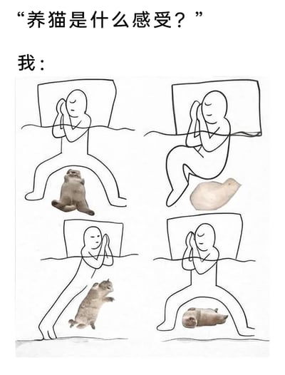 这张图以问答形式呈现，上方提问“养猫是什么感受？”，下方通过四个拼接场景给出答案：线稿绘制的铲屎官躺在床上，为了迁就下方各种姿势的猫咪，被迫摆出叉开双腿、蜷缩身体、侧身等奇怪的睡觉姿势，双手捂脸呈现出无奈又不得不接受的状态，生动又搞笑地还原了养猫人睡觉时被猫咪占据床位、被迫迁就的真实日常，精准戳中铲屎官们的共鸣点。