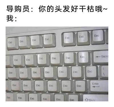 这是一张图文结合的趣味网络梗图，上方文字呈现导购员的调侃话语：“你的头发好干枯哦~”，下方是经过P图修改的键盘，所有按键都被替换成了“Esc”键。创作者利用“Esc”与“发丝”的中文谐音，用满是“Esc”的键盘对应导购所说的干枯头发，以玩梗的方式趣味回应导购的推销式调侃，既化解了场景的尴尬，又充满了网络搞笑内容的创意感，适合用来分享应对类似导购推销场景的趣味心态。