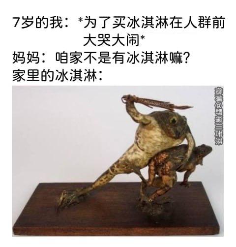 真实生物标本