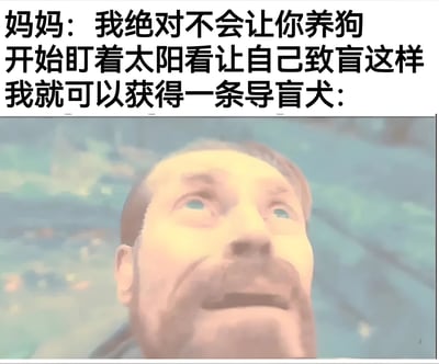 图片上方是一段文字，内容为：“妈妈：我绝对不会让你养狗 开始盯着太阳看让自己致盲这样我就可以获得一条导盲犬：”，下方是一张男人仰头望向天空的图片，他表情呆滞，眼神放空，似乎正盯着太阳。整体通过夸张的逻辑——因妈妈不让养狗而想通过致盲获取导盲犬，制造出幽默搞笑的效果。
