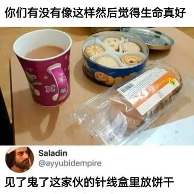 图片展示了一张桌子上的温馨场景：左侧放着一个印有卡通图案的粉色马克杯，里面装着棕色热饮；中间是一个蓝色饼干罐，盖子打开，内有多个造型各异的饼干；右侧为一袋包装好的糕点。图片上方配有文字“你们有没有像这样然后觉得生命真好”，下方则模拟社交媒体评论样式，显示用户“Saladin”的吐槽“见了鬼了这家伙的针线盒里放饼干”。通过上方文艺感慨与下方意外发现的幽默反差，营造出日常生活中因零食惊喜而感到幸福的轻松氛围。