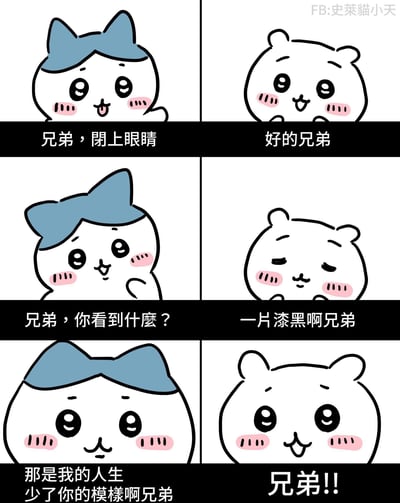 这是一幅六格漫画，描绘了一只戴蓝色蝴蝶结的猫和一只小熊之间的感人对话。第一格猫说"兄弟，闭上眼睛"，第二格小熊回应"好的兄弟"。第三格猫问"兄弟，你看到什么？"，第四格小熊回答"一片漆黑啊兄弟"。第五格猫深情地说"那是我的人生少了你的模样啊兄弟"，最后一格小熊感动地大喊"兄弟!!"。整个漫画通过简单的对话表达了深厚的友谊和彼此在对方生命中的重要性。