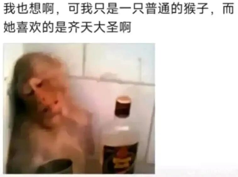 网络梗图原创形象