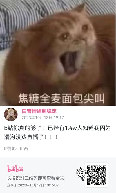 图片上半部分是一只棕色猫咪张大嘴巴尖叫的特写，表情夸张，上方配有文字“焦糖全麦面包尖叫”。下半部分是B站用户“白若情绪超稳定”的发帖截图，内容为“b站你真的够了！已经有1.4w人知道我因为漏沟没法直播了！！！”，发布时间2023年10月13日，IP属地山西。底部有B站logo及“长按识别二维码即可查看全文”提示，分享时间2023年10月17日。整体通过猫咪尖叫的夸张表情与用户的崩溃吐槽形成幽默呼应，无明显双关或谐音梗。