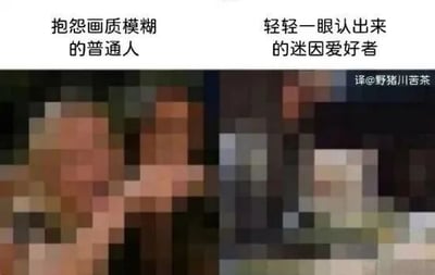 这是一张左右对比的静态图文混排图，画面整体经过马赛克模糊处理。左侧为模糊的人像画面，上方配有文字“抱怨画质模糊的普通人”，展现普通人面对极度模糊的画面时，只会关注画质问题并产生抱怨的状态；右侧是另一张模糊的经典网络迷因形象画面，上方配有文字“轻轻一眼认出来的迷因爱好者”，体现长期接触网络迷因的人群，即使在画质极差、画面高度模糊的情况下，也能凭借对迷因的熟悉度立刻识别出对应的内容。右下角的水印“译@野猪川苦茶”表明该内容是翻译改编自国外的网络迷因。