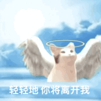 天使版Pop猫：轻轻地你将离开我
