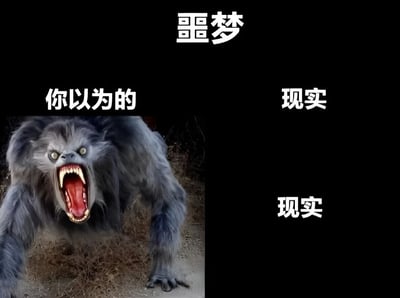 这是一张对比类梗图，上方中央有"噩梦"二字标题。左侧显示一只张着血盆大口、露出尖牙的灰色怪兽图片，上方配有"你以为的"文字；右侧为纯黑色区域，上下各有"现实"二字。通过强烈的视觉对比，幽默地表达了想象中的噩梦与现实之间的差距。