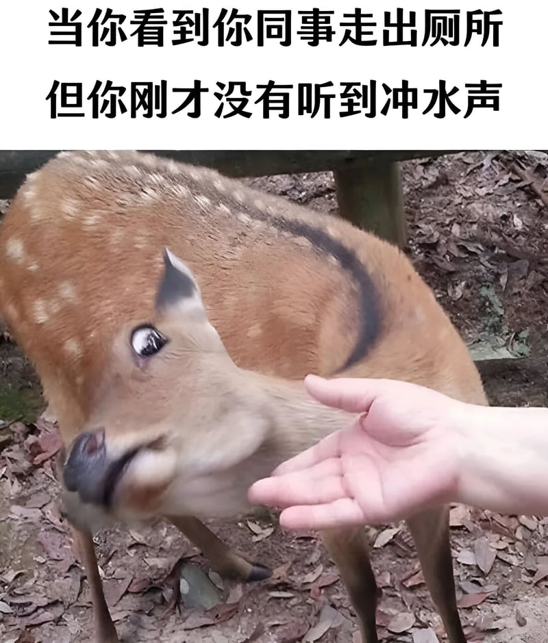 鹿