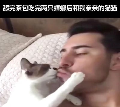 图片中一只猫正在舔吻一名闭着眼睛的男子，猫的一只爪子还放在男子的脸上。图片上方配有文字：'舔完茶包吃完两只蟑螂后和我亲亲的猫猫'，通过制造反差萌和荒诞感产生幽默效果。