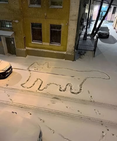 冬季降雪后的城市街道场景，地面覆盖着厚厚的白雪。画面中央是一幅巨大的猫咪图案，通过清扫积雪形成，猫咪身体舒展，姿态慵懒，细节包括头部、四肢和长长的尾巴。周围可见黄色和粉色的建筑物，几辆被雪覆盖的汽车停放在路边，地面上还有行人留下的脚印。整体氛围温馨而富有创意，展现了普通人在冬日里的生活情趣和艺术灵感。