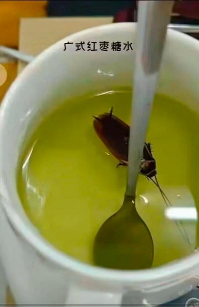 图中展示了一杯标注为“广式红枣糖水”的黄绿色液体，然而液体中的勺子上却趴着一只大蟑螂，和正常清甜的红枣糖水形成强烈反差，是一张真实拍摄的恶搞图。通过将令人厌恶的蟑螂和广式糖水结合，制造出荒诞、恶心又带点搞笑的效果，没有双关或谐音梗，纯靠视觉反差带来冲击感。