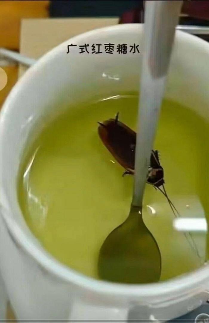 蟑螂