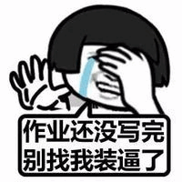 作业还没写完别找我装逼了表情包