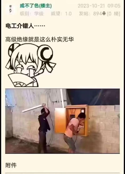 这是一张社区论坛的帖子截图，楼主发布了一组搞笑图文来调侃不规范的电工操作：上方配文“电工介错人……高级绝缘就是这么朴实无华”，搭配一个双马尾捂嘴憋笑的卡通表情包；下方实拍图里，一名男子正在打开的电箱前操作，另一名男子举着一根LED灯管站在他身后，像是要充当“介错人”（源自日本切腹文化中帮助完成仪式的助手，这里是玩梗，假装要在他触电时进行“救援”），用灯管当作绝缘工具的离谱操作完全不符合电工安全规范，制造出荒诞搞笑的效果。