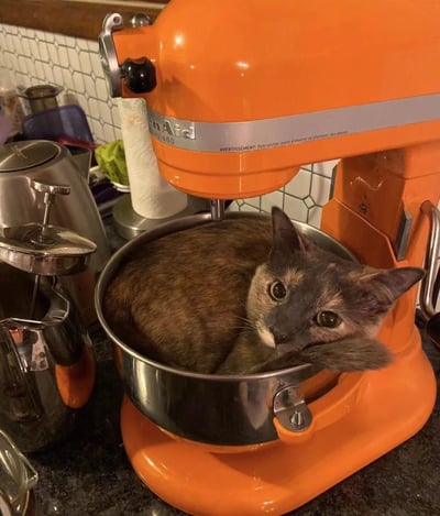 图片中一只棕虎斑猫咪正蜷缩在橙色KitchenAid立式搅拌器的不锈钢搅拌碗里，它将身体团成圆形，脑袋枕在爪子上，睁着圆溜溜的大眼睛看向镜头，表情十分淡定。搅拌器位于厨房台面上，背景可见银色水壶、卷纸和六边形瓷砖 backsplash，整体场景温馨又带点小幽默，展现了猫咪独特的休息偏好和可爱姿态。