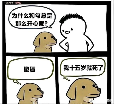 这是一幅标题为“HAPPY DOG”的三格连环卡通漫画，整体风格简洁搞笑，带有黑色幽默色彩。第一格画面中，一个卡通人类双手叉腰，面带好奇的微笑，向一只始终面带平静微笑的卡通狗狗提问：“为什么狗勾总是那么开心呢？”；第二格展示狗狗的内心独白，内容为“傻逼”，表现出对人类提问的不屑；第三格狗狗的内心独白揭晓答案：“我十五岁就死了”，以狗狗寿命远短于人类的现实为切入点，用反差感制造讽刺又好笑的效果，暗示狗狗因为生命短暂所以不会被琐事困扰，始终保持“开心”的状态。漫画右下角带有“图吧”的水印标识。
