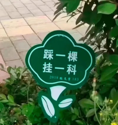 这是一张拍摄于大学校园的实景照片，画面核心是一个立在绿植丛中的绿色花朵造型提示牌。提示牌主体用白色字体写着“踩一棵 挂一科”的趣味警示语，以大学生群体十分在意的“挂科”作为调侃点，幽默地劝导大家不要踩踏植物；提示牌底部标注有“2018级大学183”的落款，表明这是该群体制作的创意提示牌。背景可见铺有地砖的校园路面和周围的绿色植被，整体场景充满生活化的校园气息，这种接地气的创意标语既达到了护绿提醒的目的，又贴合学生的日常语境，风格诙谐有趣。