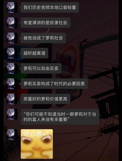 这是一段社交聊天记录截图，用户分享了自己课堂上的搞笑经历：历史老师因为本地口音太重，将“奴隶社会”说成了“萝莉社会”，后续原本关于奴隶的历史内容，比如“奴隶可以自由买卖”“奴隶对富人的重要性”等，都因为口音问题变成了关于“萝莉”的离谱表述，最后用户配上了“坏心思+1”的小黄脸表情包，用谐音梗制造出严肃历史课与荒诞表述的强烈反差，充满搞笑效果，同时表情包也强化了那种因为口音误会产生的狡黠趣味。