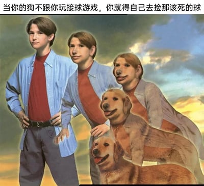 这是一张趣味合成的静态梗图，画面从左到右呈现了一个人类男孩逐渐变身成金毛犬的渐变序列：左侧是双手叉腰、神情严肃的男孩，向右依次是头部逐渐犬化、身体逐渐变成狗身的形象，最右侧是完全的金毛犬。图片顶部配有文字「当你的狗不跟你玩接球游戏，你就得自己去捡那该死的球」，用夸张的视觉化变身效果，调侃宠物主人想和狗狗玩接球游戏，却因狗狗不愿配合，只能自己去捡球的无奈又好笑的养宠日常，充满了幽默的反差感。