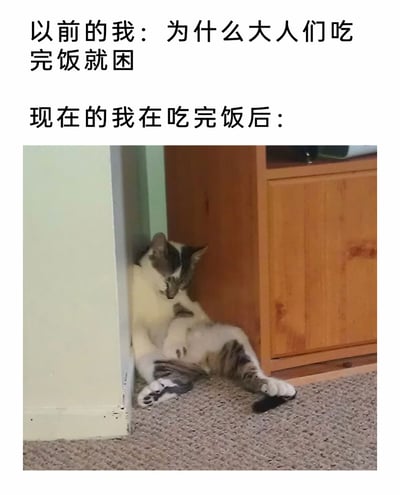 这是一张充满生活共鸣的搞笑图文梗图，通过前后视角的反差来展现成长中的生活体验。上方文字分为两个部分，第一部分是“以前的我：为什么大人们吃完饭就困”，传递出年少时期对成年人饭后犯困状态的不解与疑惑；第二部分是“现在的我在吃完饭后：”，下方搭配一张实拍的猫咪照片，照片中的猫咪瘫坐在墙角与木质柜子的夹缝地面上，眼神迷离、身体瘫软放松，生动还原了饭后极度疲惫、昏昏欲睡的状态。这张图精准戳中了许多人长大后亲身体会到饭后犯困的真实感受，用猫咪的慵懒疲惫状态具象化了这种成年人的日常疲惫，充满搞笑感与共鸣感，很容易引发网友的共情。