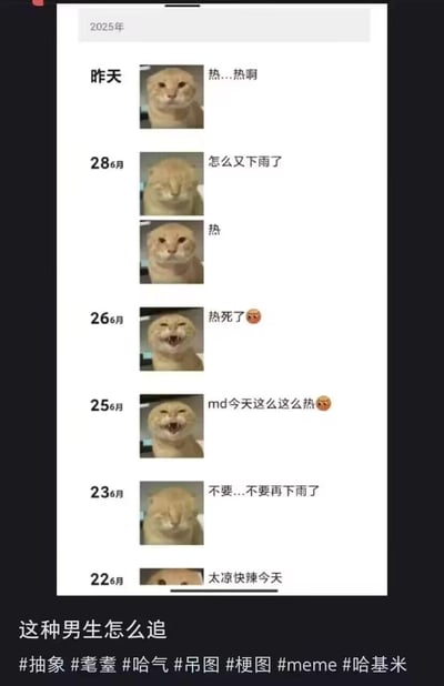 这是一张模拟男生日常状态的社交媒体截图，用热门的哈基米橘猫表情包，搭配2025年6月22日至“昨天”的天气吐槽文字，展现了天气在凉快、下雨、酷热之间反复横跳时，人的情绪也跟着纠结崩溃的真实状态，最后配文“这种男生怎么追”，用直白的日常吐槽调侃这类情绪直接、被天气左右心情的男生，引发共鸣。