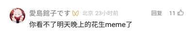 这是一张来自未知社交媒体平台的用户评论截图，发布者昵称是“愛島館子です”，附带蝴蝶符号，显示所在地为北京，发布时间为23小时前。发布者的头像是一个浅色头发的卡通人物，人物表情平静，双手置于身前。评论内容为“你看不了明天晚上的花生meme了”，评论右侧设有“回复”按钮，且该评论获得了11个点赞。meme指的是网络上流行的梗图，“花生meme”即和花生相关的梗图内容，这条评论是发布者告知对话对象，对方无法在次日晚上看到相关的花生主题梗图。