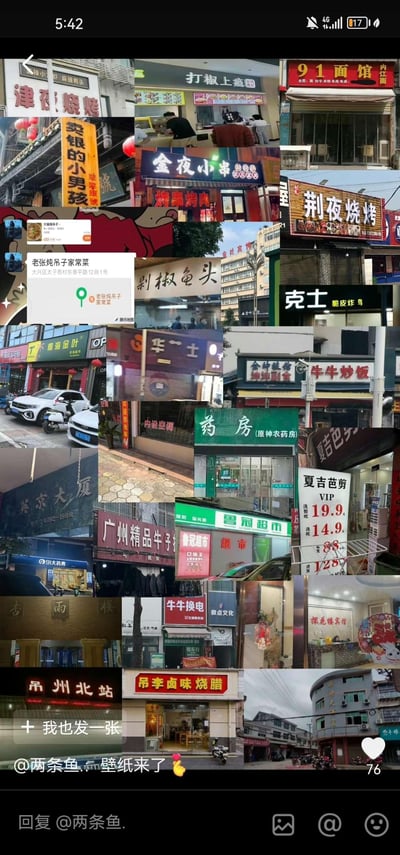这是一张竖屏的多图拼接壁纸，收集了数十张带有梗点的国内店铺招牌实拍图，其中包含大量容易看错、自带谐音或联想梗的招牌：比如竖排的「翠翠银號」被误读为「卖银的小男孩」，「老张炖吊子家常菜」「吊州北站」「吊李卤味烧腊」的店名自带趣味联想，还有模仿连锁品牌的「克士 脆皮炸鸟」招牌，以及「原神农药房」这类玩梗的店铺名，整体风格轻松搞笑，适合作为手机壁纸。