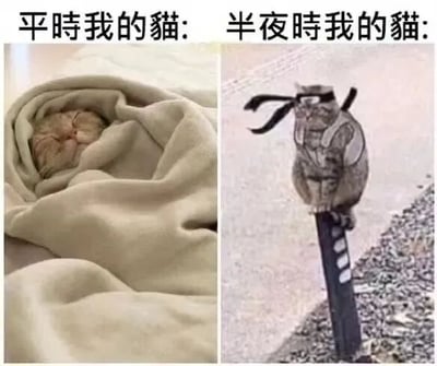 左侧图中一只猫咪蜷缩在米白色的毯子中，双眼紧闭，睡得十分香甜，配文'平时我的猫:'；右侧图中同一只猫咪（暗示）被P图成忍者造型，头戴黑色头带，身穿类似忍者马甲，站在一把剑的剑柄上，表情警惕，配文'半夜时我的猫:'。通过左右对比幽默展现了猫咪白天慵懒睡觉与半夜精力充沛、化身'忍者'的反差萌。