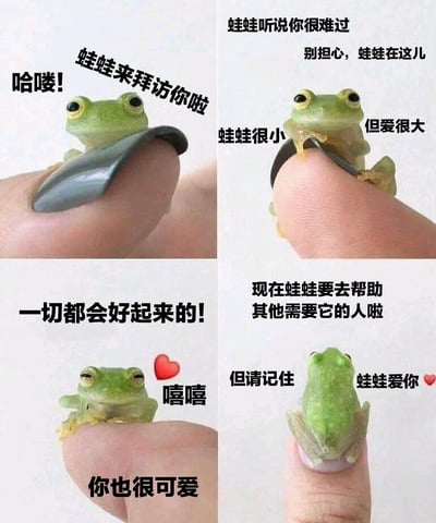 这是一张2x2网格布局的四格连环图，每格均展示一只绿色小青蛙坐在人类手指上的场景，并配有不同的安慰文字。第一格（左上）：青蛙举着黑色物体，文字“哈喽! 蛙蛙来拜访你啦”；第二格（右上）：青蛙抬头望向前方，文字“蛙蛙听说你很难过 别担心，蛙蛙在这儿 蛙蛙很小 但爱很大”；第三格（左下）：青蛙正面端坐，旁边有红色爱心，文字“一切都会好起来的! 嘻嘻 你也很可爱”；第四格（右下）：青蛙背对镜头准备离开，文字“现在蛙蛙要去帮助其他需要它的人啦 但请记住 蛙蛙爱你”（末尾有红色爱心）。整体风格温馨治愈，通过小青蛙的视角传递鼓励与温暖。