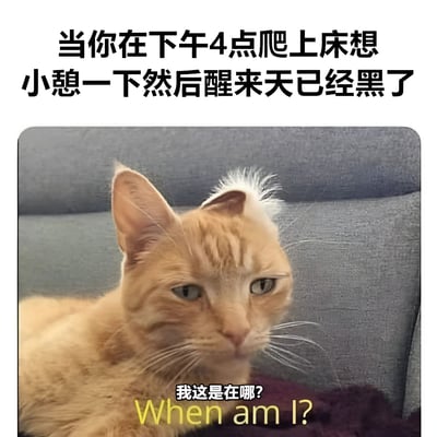 图片上方配有文字“当你在下午4点爬上床想小憩一下然后醒来天已经黑了”，下方是一只趴在灰色沙发上的橘猫。猫咪耳朵竖起，头顶毛发略显凌乱，眼神迷茫地看向镜头，下方配有文字“我这是在哪? When am I?”，生动展现了人们午睡过头醒来后的困惑与时空错乱感。