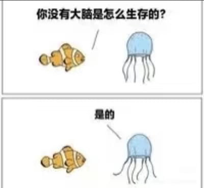 这是一幅由两格画面组成的连环卡通漫画，第一格中，一条面露疑惑的小丑鱼向水母提出问题：“你没有大脑是怎么生存的？”；第二格中，水母的触手触碰在了小丑鱼身上，同时给出了答非所问的回复“是的”。创作者结合水母没有大脑、无法进行复杂逻辑思考，只会依靠本能行动的生物特性，制造出无厘头的幽默效果：水母没有理解小丑鱼的问题，而是用蛰刺的本能动作和简单的回应，呼应了自身“没有大脑”的设定，形成荒诞的笑点。