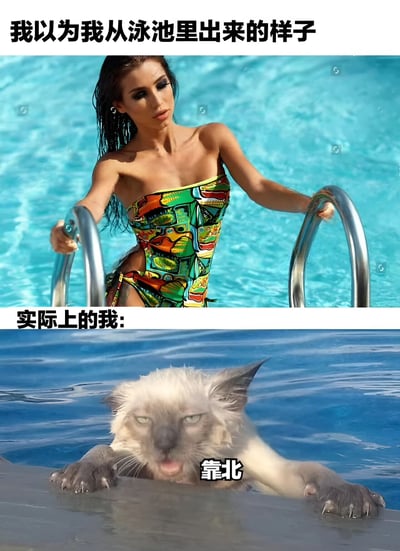 这是一张上下对比梗图，通过幽默方式展现理想与现实的差距。上图标题为“我以为我从泳池里出来的样子”，画面中一位穿着彩色印花抹胸泳衣的女性正扶着泳池扶手优雅出水，湿发贴肩，姿态魅惑自信，背景是清澈的蓝色泳池水；下图标题“实际上的我:”则是一只浑身湿透、毛发凌乱的猫，前爪扒着泳池边缘，表情狼狈无奈，下方配有台湾方言俚语“靠北”（表达抱怨或无奈），形成强烈反差萌，引发观众共鸣。