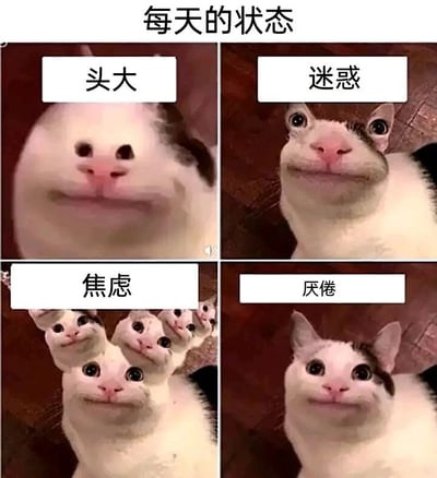 这是一张由四格画面拼接而成的P图表情包，以被修改上人脸嘴巴的猫咪为核心形象，对应展现当代人日常的四种典型情绪状态：第一格将猫咪脸部放大，搭配文字“头大”，传递出被琐事困扰的烦躁感；第二格猫咪睁着圆眼睛，搭配文字“迷惑”，表现出对现状的不解与茫然；第三格通过多个猫咪头部重叠的效果，搭配文字“焦虑”，生动呈现出思绪繁杂、内心不安的焦虑状态；第四格猫咪眼神平淡，搭配文字“厌倦”，表达出对重复日常的疲惫与倦怠。整体用幽默夸张的视觉效果，精准戳中当代人在生活、工作中的情绪痛点，引发共鸣。