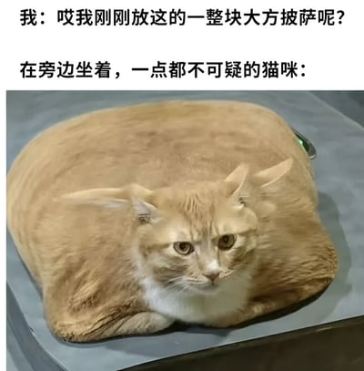 图片上方有两行文字，第一行是“我：哎我刚刚放这的一整块大方披萨呢？”，第二行是“在旁边坐着，一点都不可疑的猫咪：”。下方是一张照片，一只体型非常圆润的橘猫趴在灰色的平面上，身体形状酷似披萨，表情看起来淡定又无辜，仿佛在假装与披萨失踪无关。通过猫咪的肥胖体型与披萨形状的联想，以及文字与猫咪表情的反差，营造出幽默搞笑的效果，暗示猫咪可能偷吃了披萨。