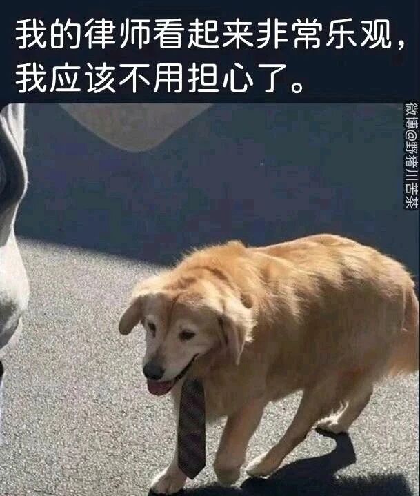 被调侃为律师