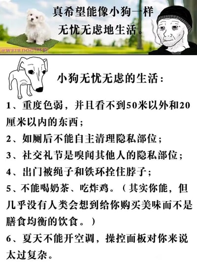 这是一张上下结构的搞笑反差梗图，上半部分右侧是一位叼着烟、神情倦怠的卡通男性，配文“真希望能像小狗一样无忧无虑地生活”，左侧是一只坐在草坪垫子上、看起来懵懂可爱的白色小狗，营造出人类向往小狗轻松生活的氛围；下半部分是一只垂头丧气的手绘小狗，下方列出6条“小狗无忧无虑的生活”的真实细节，从视力缺陷、无法自主清洁、特殊社交礼节、出行被束缚、饮食受限等方面，用幽默的方式拆解了小狗看似无忧的生活背后的“不便利”，通过反讽打破人们对小狗生活的美好幻想，制造出强烈的反差笑点，调侃人类对轻松生活的向往，同时具象化呈现小狗的真实生存状态。