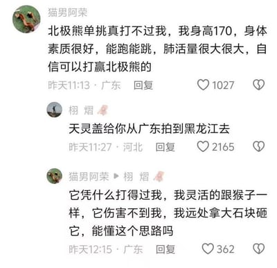 这是一张中文社交平台的评论区截图，内容为：网友猫男阿荣先是发布评论，称自己身高170、身体素质好、肺活量高，自信单挑可以打赢北极熊；随后网友栩 熠对此进行吐槽，调侃北极熊能把他的天灵盖从广东拍到黑龙江去；之后猫男阿荣又回复对方，表示自己像猴子一样灵活，北极熊伤不到自己，还能在远处拿大石块砸北极熊，坚持认为自己能打赢。整体内容荒诞搞笑，是典型的离谱言论被吐槽的网络趣味内容。