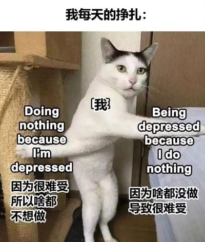 这是一张精准戳中当代人精神内耗的搞笑梗图，以一只被拉扯呈劈叉姿态的黑白猫咪为主体，猫咪被标注为“我”，左右两侧分别用中英文双语标注了两种循环往复的矛盾状态：左侧是“因为很难受所以啥都不想做”，右侧是“因为啥都没做导致很难受”，顶部标题“我每天的挣扎”点明主题，形象地表现出很多人陷入的“情绪低落→无所事事→更情绪低落”的消极循环，用幽默的方式调侃了这种无力又矛盾的日常精神状态。