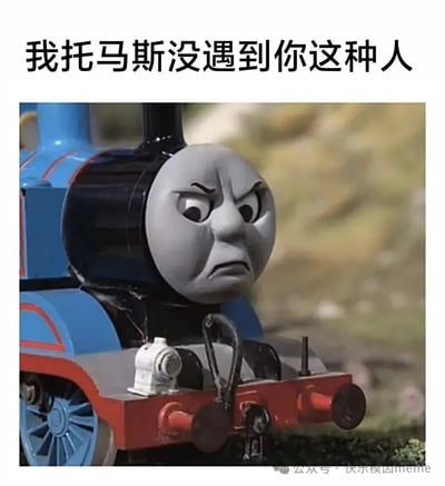 图片中是托马斯小火车的特写镜头，其面部表情愤怒，眉头紧锁，双眼圆睁，嘴巴向下撇，显得十分不悦。图片上方配有文字“我托马斯没遇到你这种人”，整体通过托马斯的经典形象和夸张的愤怒表情，以幽默的方式表达对某人或某事的强烈不满与吐槽。