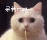 一只表情呆萌的白色猫咪，被称为“呆若moji猫”，嘴巴微张似乎叼着细小物品，整体画面可爱又带有搞笑感，适合用于表达呆萌、可爱的情绪。